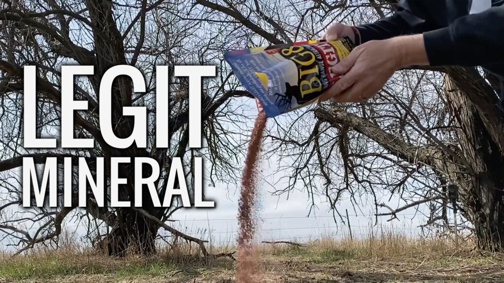 Big & J's Feed The Hunt Big & J show videos featuring their amazing